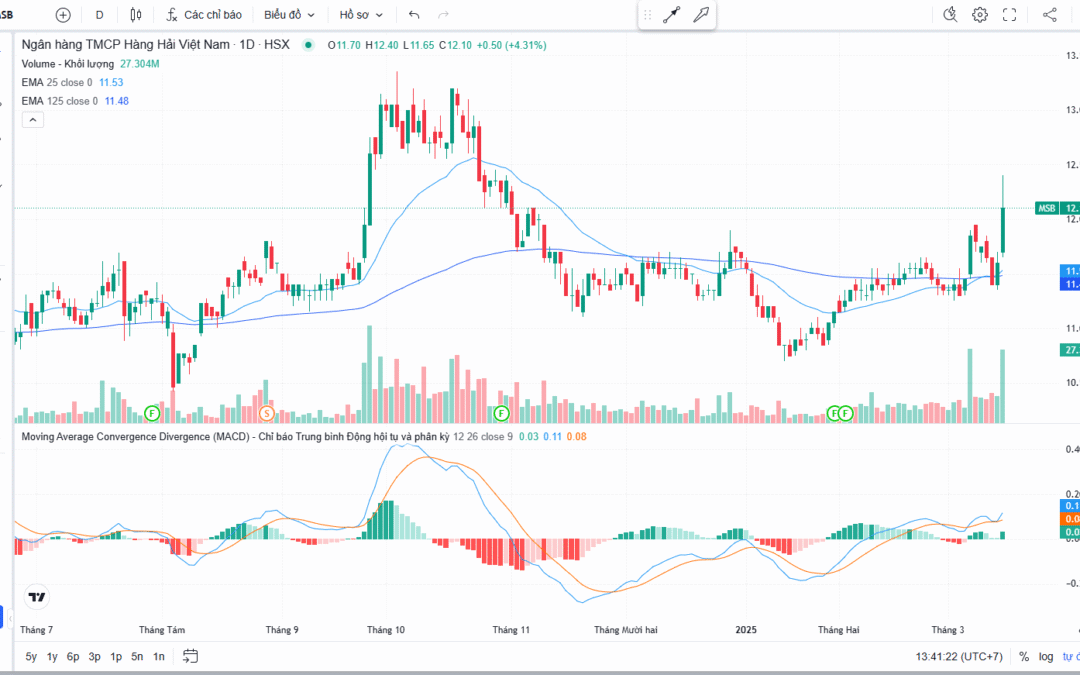 Cổ phiếu MSB: Thông tin, Đặc điểm, Vị thế và Triển vọng đầu tư
