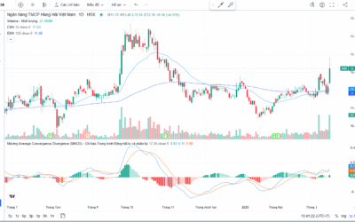 Cổ phiếu MSB: Thông tin, Đặc điểm, Vị thế và Triển vọng đầu tư