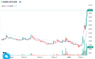 Cổ phiếu MSR: Thông tin, Đặc điểm, Tiềm năng và Kinh nghiệm đầu tư
