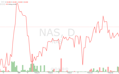 Cổ phiếu NAS: Thông tin, Đặc điểm, Vị thế và Chiến lược đầu tư