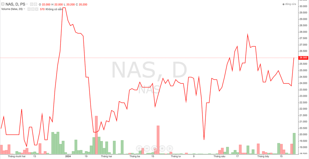 Cổ phiếu NAS: Thông tin, Đặc điểm, Vị thế và Chiến lược đầu tư