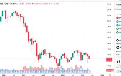 Cổ phiếu NBB: Thông tin doanh nghiệp, Đặc điểm tài chính, Tiềm năng dự án và Chiến lược đầu tư