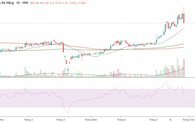 Cổ phiếu NDN: Thông tin niêm yết, Đặc điểm tài chính, Tiềm năng dự án và Rủi ro đầu tư