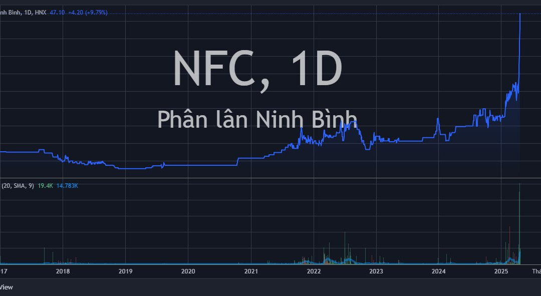 Cổ phiếu NFC: Thông tin, Chỉ số tài chính, Đánh giá đầu tư và Tiềm năng tăng trưởng