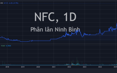 Cổ phiếu NFC: Thông tin, Chỉ số tài chính, Đánh giá đầu tư và Tiềm năng tăng trưởng