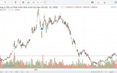 Cổ phiếu NHA: Thông tin, Đặc điểm, Tiềm năng và Lưu ý đầu tư