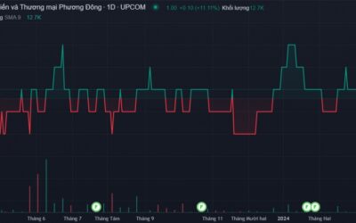 Cổ phiếu NOS: Thông tin, Hoạt động kinh doanh, Tình hình tài chính và Tiềm năng đầu tư
