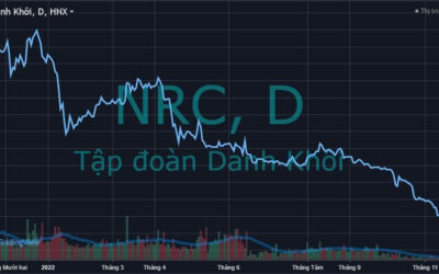 Cổ phiếu NRC: Thông tin, Đặc điểm, Tiềm năng và Chiến lược đầu tư