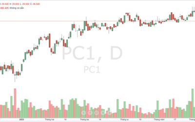 Cổ phiếu PC1: Thông tin doanh nghiệp, Hoạt động kinh doanh, Sức khỏe tài chính và Triển vọng đầu tư