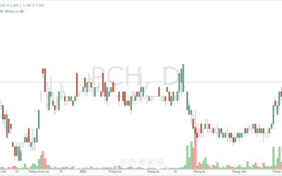 Cổ phiếu PCH: Thông tin doanh nghiệp, Hiệu quả kinh doanh, Định giá và Tiềm năng đầu tư