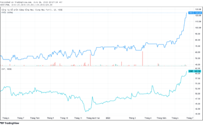 Cổ phiếu PDN: Thông tin doanh nghiệp, Đặc điểm tài chính, Tiềm năng đầu tư và Phân tích triển vọng
