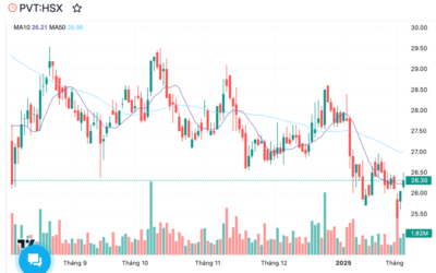 Cổ phiếu PDV: Thông tin niêm yết, Chỉ số tài chính, Lợi thế cạnh tranh và Cách đầu tư hiệu quả