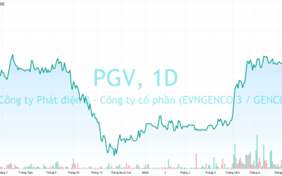 Cổ phiếu PGV: Thông tin, Đặc điểm, Định giá và Chiến lược đầu tư