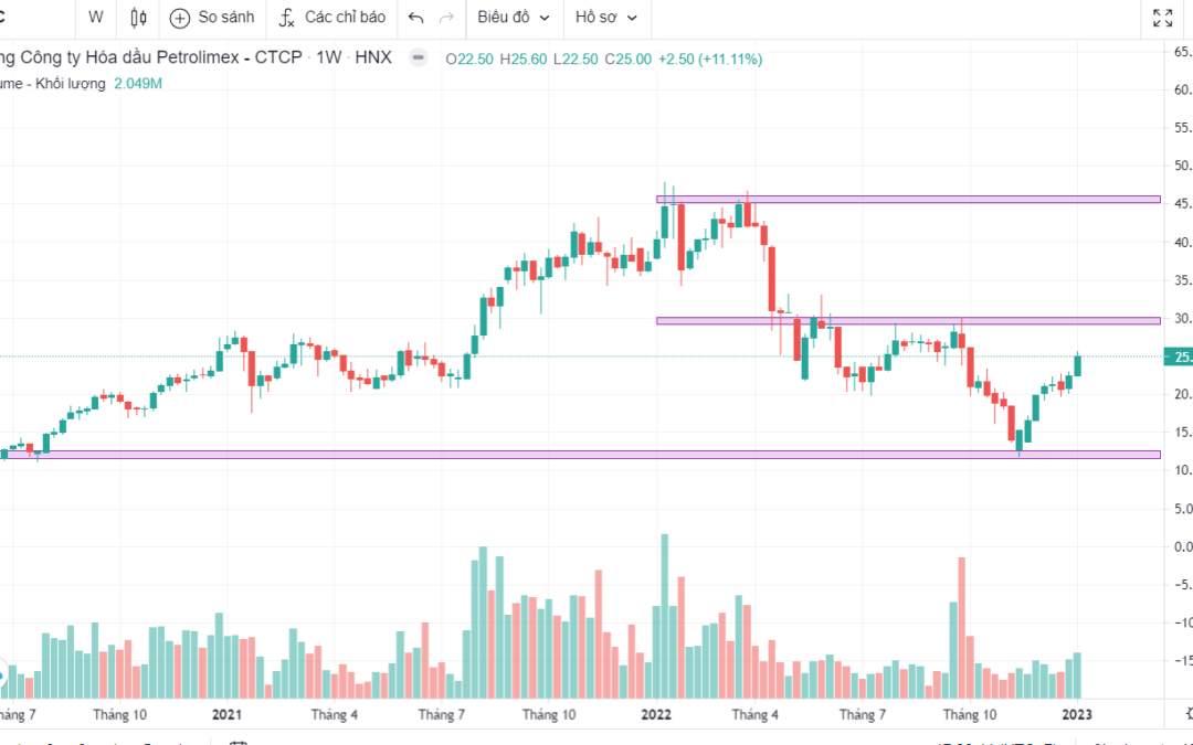 Cổ phiếu PLC: Thông tin, Đặc điểm, Tiềm năng và Cách đầu tư