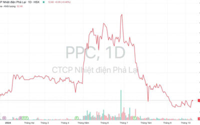 Cổ phiếu PPC: Thông tin, Đặc điểm, Định giá và Chiến lược đầu tư