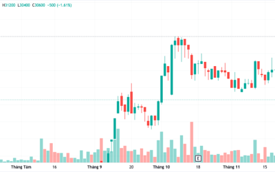 Cổ phiếu PSD: Thông tin, Đặc điểm kinh doanh, Tiềm năng đầu tư và Cách giao dịch hiệu quả