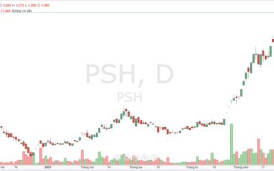 Cổ phiếu PSH: Thông tin, Đặc điểm, Tài chính và Triển vọng đầu tư