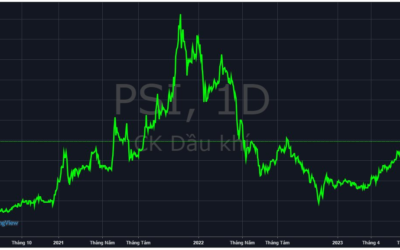 Cổ phiếu PSI: Thông tin, Đặc điểm, Vị thế ngành và Tiềm năng đầu tư
