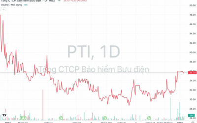 Cổ phiếu PTI: Thông tin doanh nghiệp, Chỉ số tài chính, Tiềm năng đầu tư và Cách giao dịch