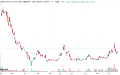 Cổ phiếu PTL: Thông tin, Đặc điểm, Tiềm năng và Lưu ý đầu tư
