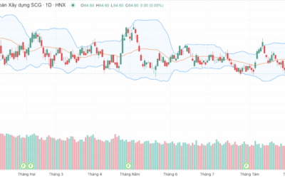 Cổ phiếu SCG: Thông tin, Đặc điểm, Đánh giá và Chiến lược đầu tư