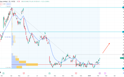 Cổ phiếu SEA: Thông tin, Đặc điểm, Tiềm năng và Rủi ro đầu tư