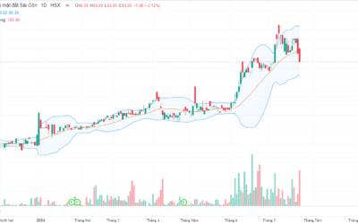 Cổ phiếu SGN: Thông tin doanh nghiệp, Chỉ số tài chính, Tiềm năng đầu tư và Cách giao dịch