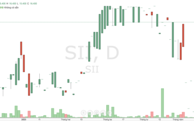 Cổ phiếu SII: Thông tin doanh nghiệp, Đặc điểm tài chính, Tiềm năng ngành nước và Chiến lược đầu tư