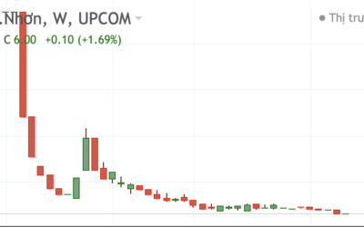 Cổ phiếu SQC: Thông tin doanh nghiệp, Lịch sử biến động giá, Chỉ số tài chính và Chiến lược đầu tư