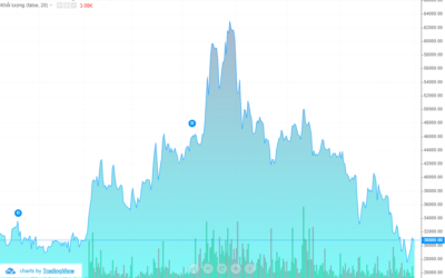 Cổ phiếu SZL: Thông tin, Đặc điểm, Tiềm năng và Chiến lược đầu tư
