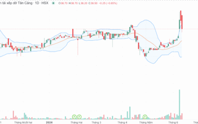 Cổ phiếu TCL: Thông tin doanh nghiệp, Đặc điểm tài chính, Chính sách cổ tức và Chiến lược đầu tư