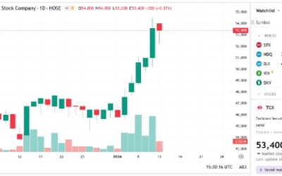 Cổ phiếu TCX: Thông tin, Chỉ số tài chính, Tiềm năng và Chiến lược đầu tư
