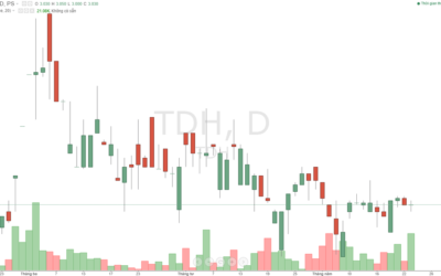 Cổ phiếu TDH: Thông tin, Chỉ số tài chính, Tiềm năng đầu tư và Cách mua
