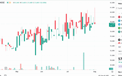 Cổ phiếu TDM: Thông tin, Chỉ số tài chính, Tiềm năng tăng trưởng và Chiến lược đầu tư