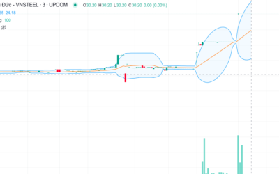 Cổ phiếu TDS: Thông tin, Đặc điểm, Vị thế và Tiềm năng đầu tư