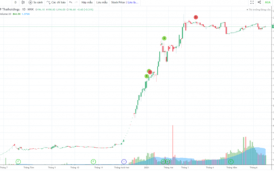 Cổ phiếu THD: Thông tin doanh nghiệp, Đặc điểm cổ phiếu, Hiệu quả đầu tư và Chiến lược giao dịch