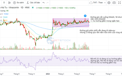 Cổ phiếu THT: Thông tin, Đặc điểm, Tiềm năng và Chiến lược đầu tư