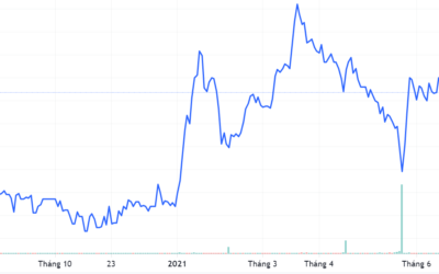 Cổ phiếu TID: Thông tin, Đặc điểm, Tiềm năng đầu tư và Cách giao dịch