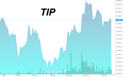 Cổ phiếu TIP: Thông tin niêm yết, Đặc điểm tài chính, Tiềm năng đầu tư và Chiến lược giao dịch