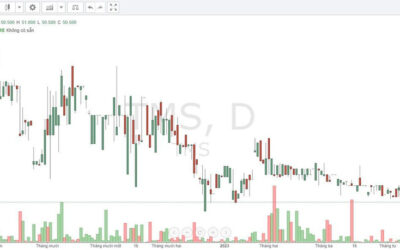 Cổ phiếu TMS: Thông tin niêm yết, Phân tích tài chính, Tiềm năng và Rủi ro đầu tư