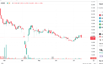 Cổ phiếu TNH: Thông tin, Đặc điểm tài chính, Định giá và Chiến lược đầu tư