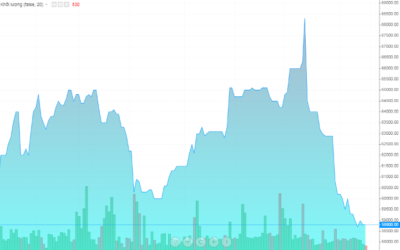 Cổ phiếu TNS: Thông tin doanh nghiệp, Chỉ số tài chính, Phân tích kỹ thuật và Tiềm năng đầu tư