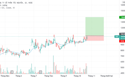 Cổ phiếu TNT: Thông tin doanh nghiệp, Đặc điểm tài chính, Tiềm năng và Cách đầu tư hiệu quả