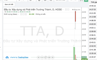 Cổ phiếu TTA: Thông tin, Đặc điểm, Vị thế và Triển vọng đầu tư
