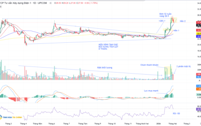 Cổ phiếu TV1: Thông tin doanh nghiệp, Đặc điểm tài chính, Tiềm năng tăng trưởng và Chiến lược đầu tư