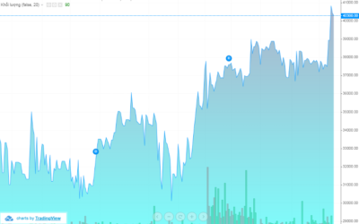Cổ phiếu UIC: Thông tin doanh nghiệp, Chỉ số tài chính, Lịch sử cổ tức và Nhận định đầu tư