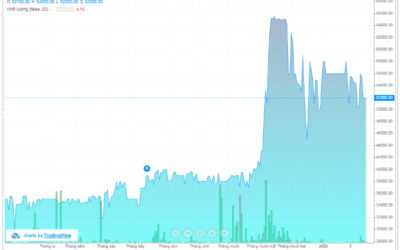 Cổ phiếu VCP: Thông tin, Đặc điểm, Định giá và Tiềm năng đầu tư