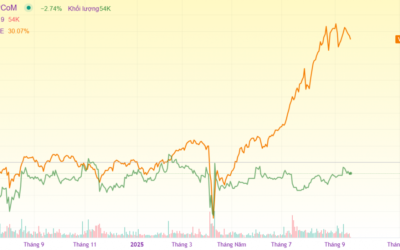 Cổ phiếu VEA: Thông tin, Đặc điểm, Tiềm năng và Chiến lược đầu tư