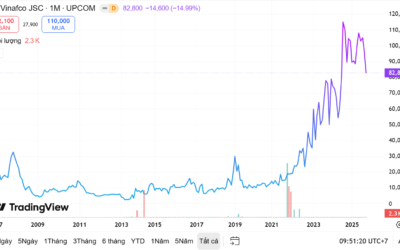 Cổ phiếu VFC: Thông tin doanh nghiệp, Đặc điểm cổ phiếu, Tiềm năng đầu tư và Cách phân tích hiệu quả
