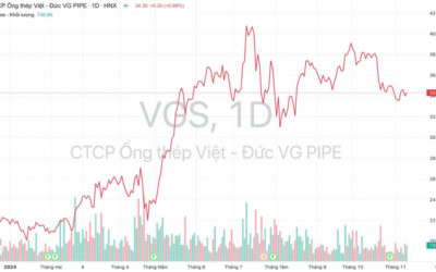 Cổ phiếu VGS: Thông tin doanh nghiệp, Đặc điểm tài chính, Tiềm năng đầu tư và Phân tích kỹ thuật
